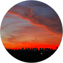 ROMY profile picture