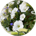 Audrey Zernes profile picture